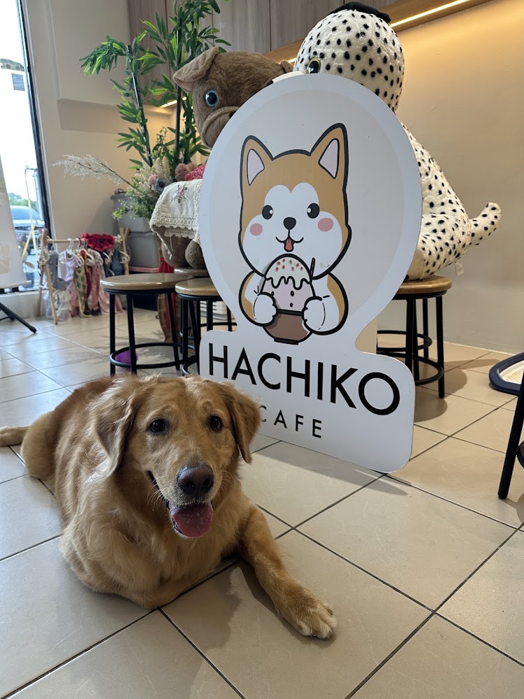 Hachiko Pet Cafe - Alam Damai