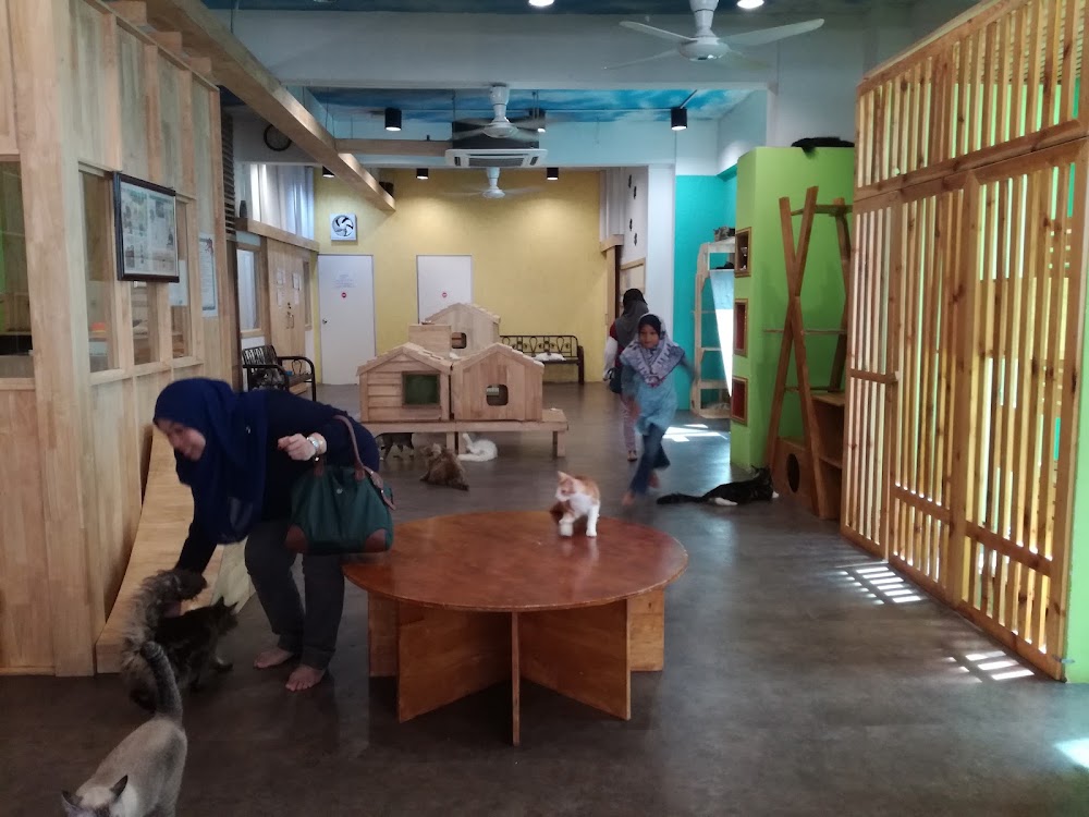 Seri Talam Cat Cafe