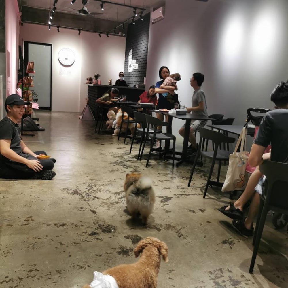 BabyPaws Cafe